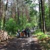 Wiosna w Lesie Młochowskim
