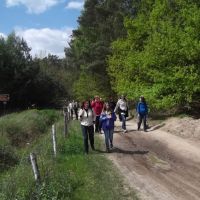 Świąteczny spacer po Lesie Kabackim