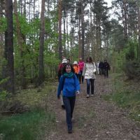 Pętla Wieliszewska: spacer po Lasach Nieporęckich