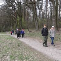 Czas na Kampinos: Lipków - Dziekanów Leśny, wycieczka piesza