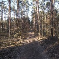 Mazowiecki Park Krajobrazowy: Zabieżki - Celestynów, wycieczka piesza