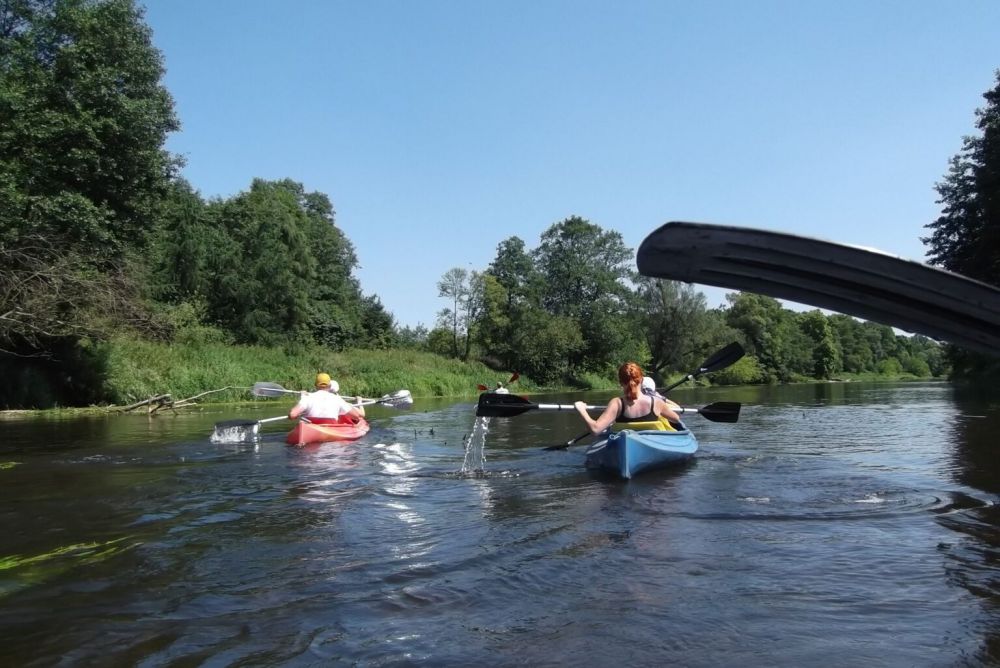 Spływ kajakowy Wkrą, 15 km