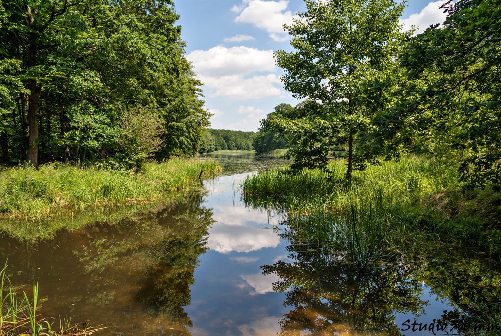 Przejażdżka nad Jeziorką i Pisią, wycieczka rowerowa